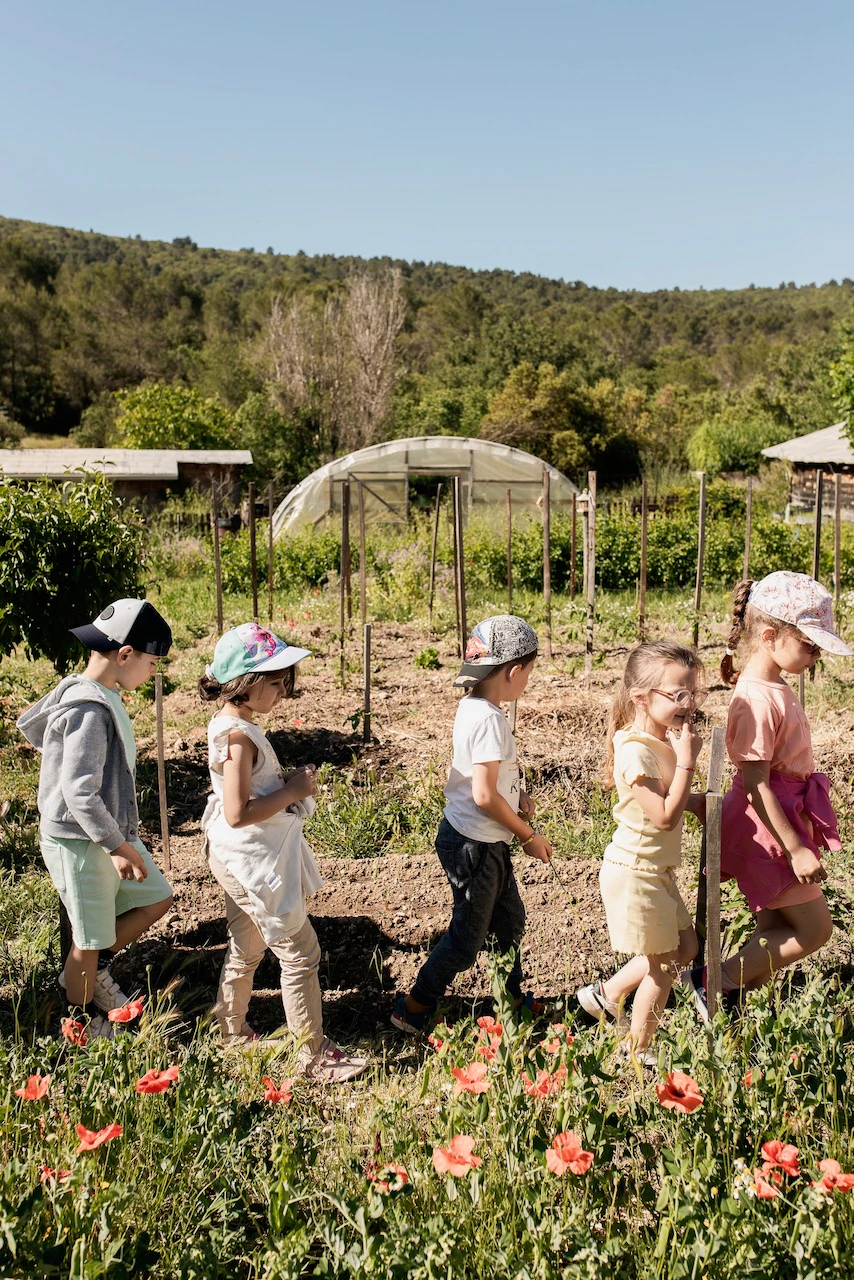 Un petit groupe d'enfants marchent en file indienne dans un potager